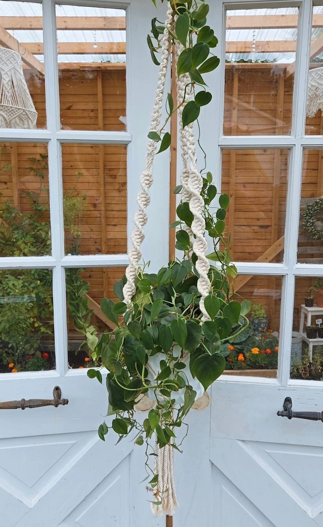 DIY Macrame Plant Hanger KIT