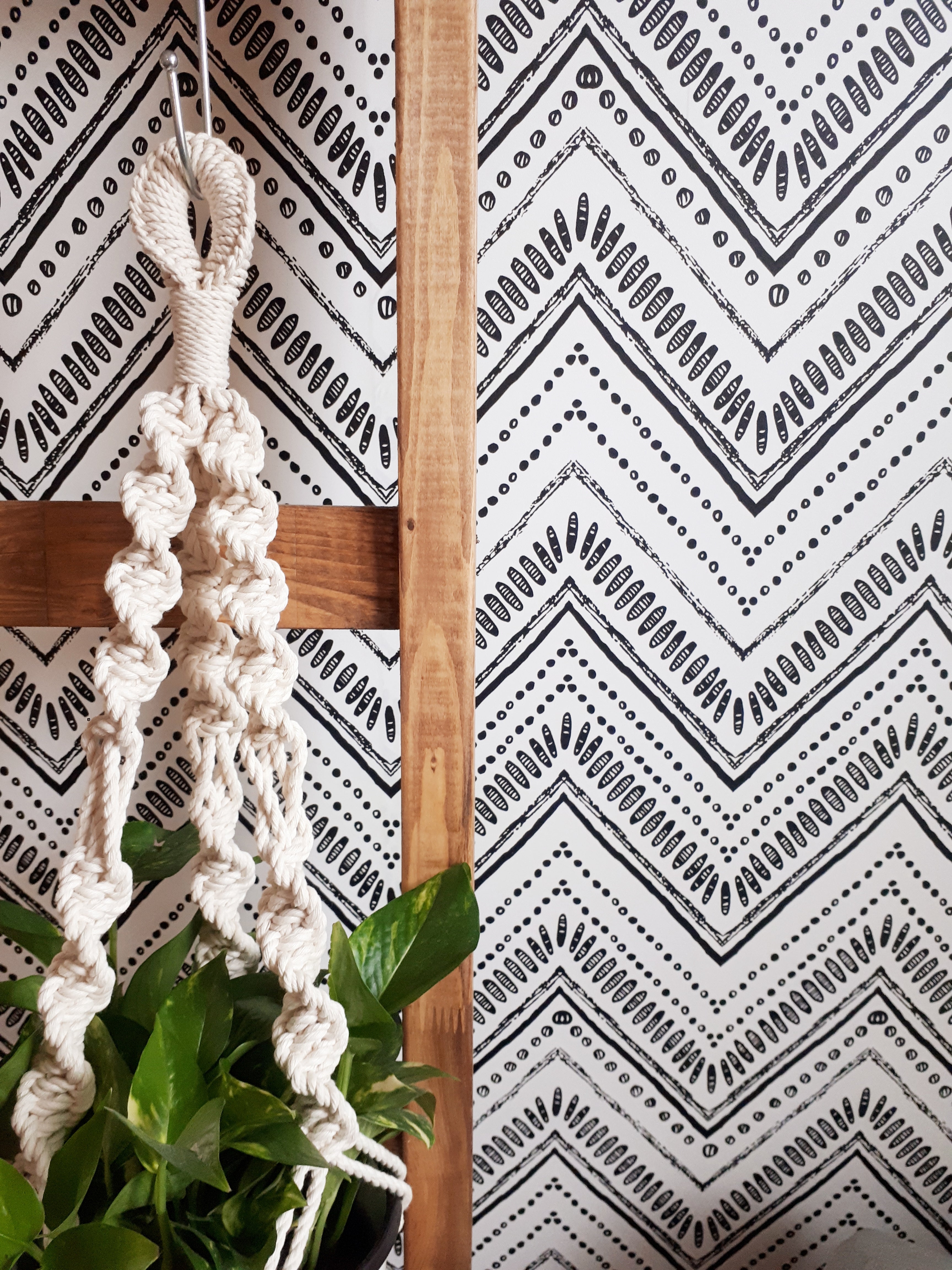 Macrame Plant Hanger - Single